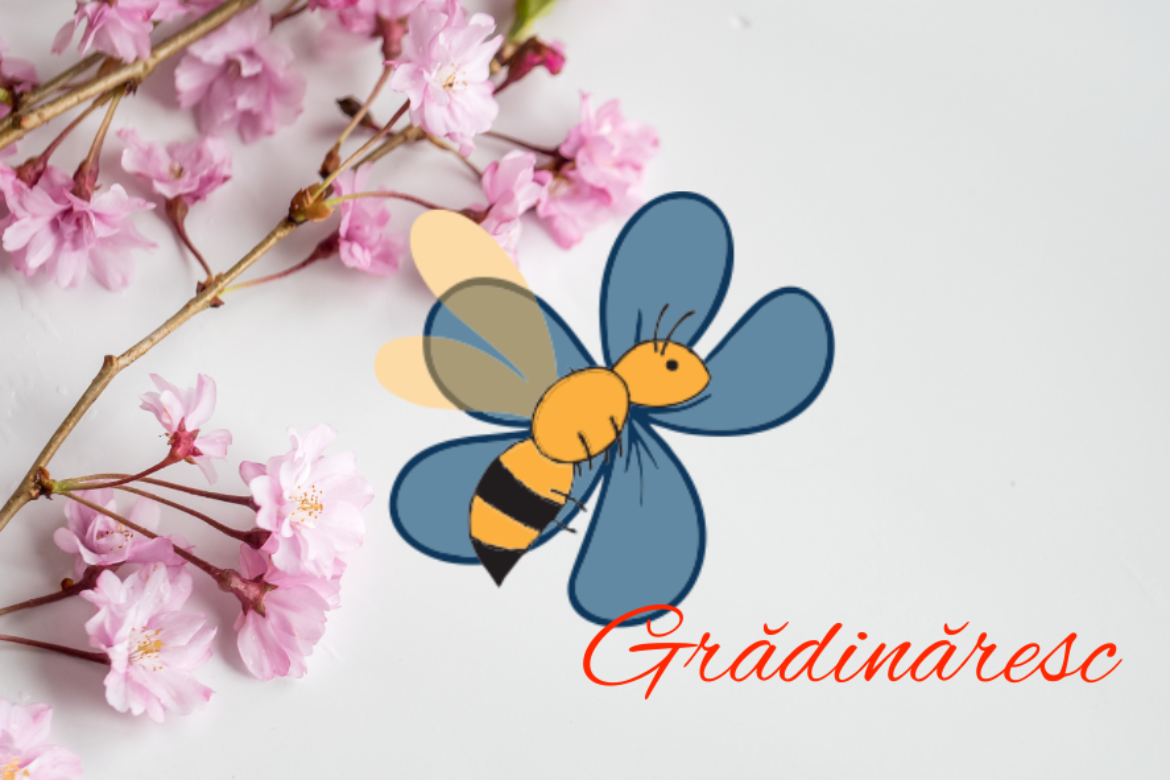 Descoperă Revoluția Digitală: Carte de Vizită Contactless cu Tehnologie NFC